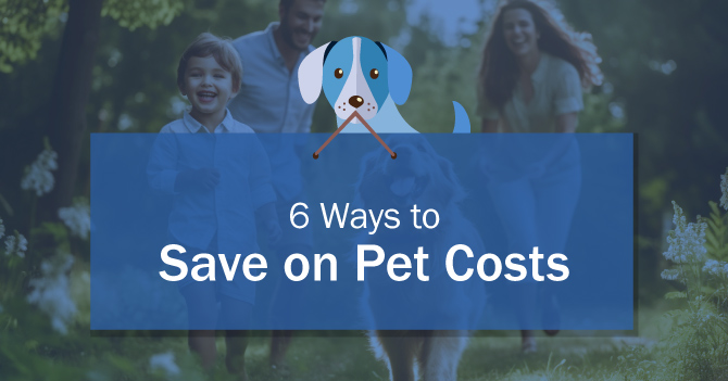 Six ways to save on pet costs.